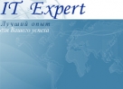   IT Expert          -