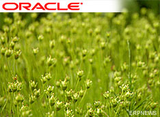 AMR Research: ORACLE RETAIL -  !
