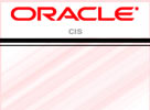 ORACLE   PORTAL SOFTWARE