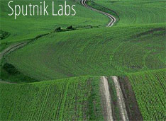  Sputnik Labs    CRM-    
