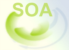 SOA 2008