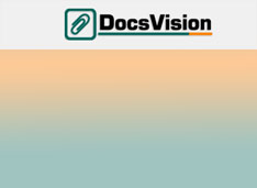   DocsVision       