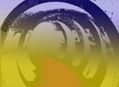 About 12NEWS