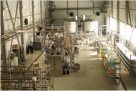 «1С:Молокозавод» на городецком заводе «МОЛОКО» - производственные процессы оптимизированы, качество обеспечено, продукцию раскупают без остатка