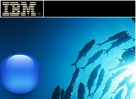 IBM          