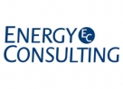 Energy Consulting  -       