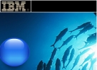  Juniper Networks        IBM